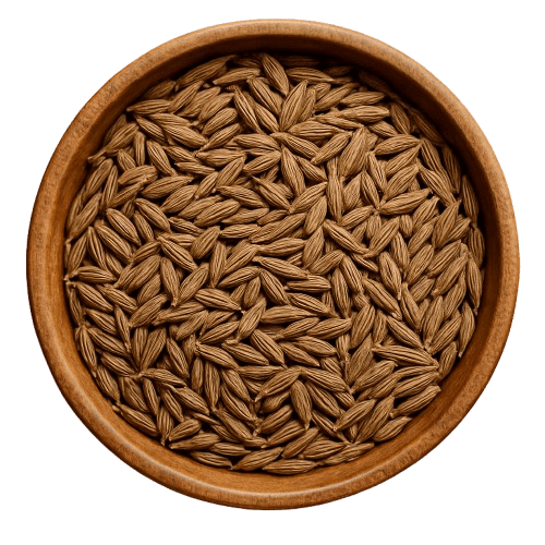 Whole cumin seeds cleaned and graded, bulk spice export from India to USA, UK and Canada