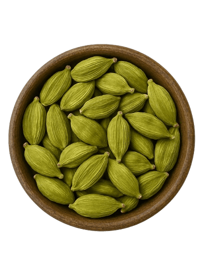 Premium green cardamom pods from India, hand-picked and export-ready for global buyers